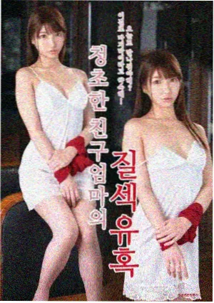 剧集分区字幕索引封面